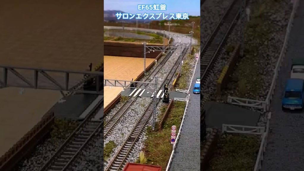 EF65レインボー釜サロンエクスプレス東京とパノラマエクスプレスアルプス　#鉄道 #鉄道模型 #Nゲージ #トミックス #KATO  #ジョイフルトレイン