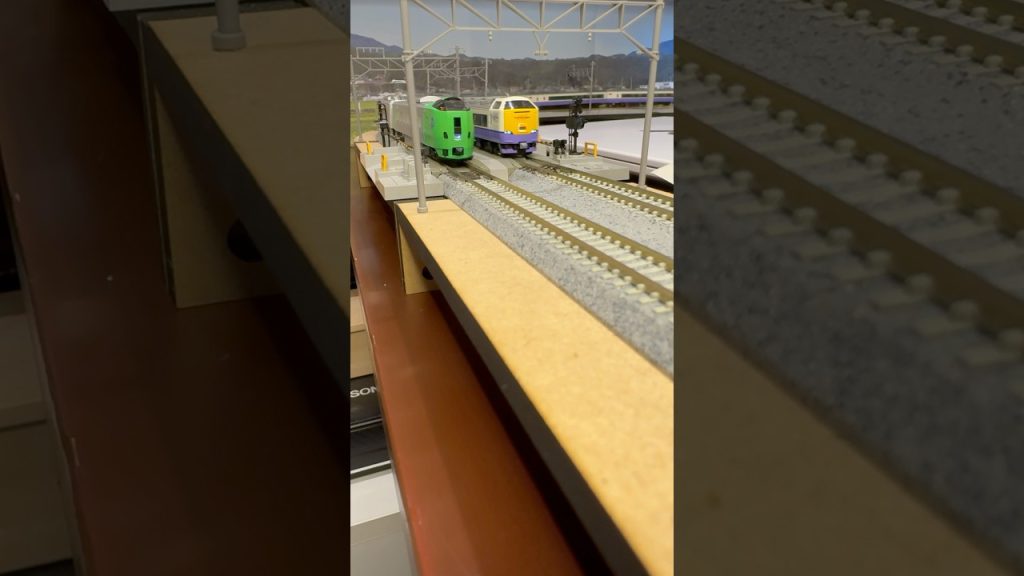 (Nゲージ鉄道模型 2畳書斎のデスクトップミニレイアウト)789系スーパー白鳥、485系3000番代はつかり 走行シーン