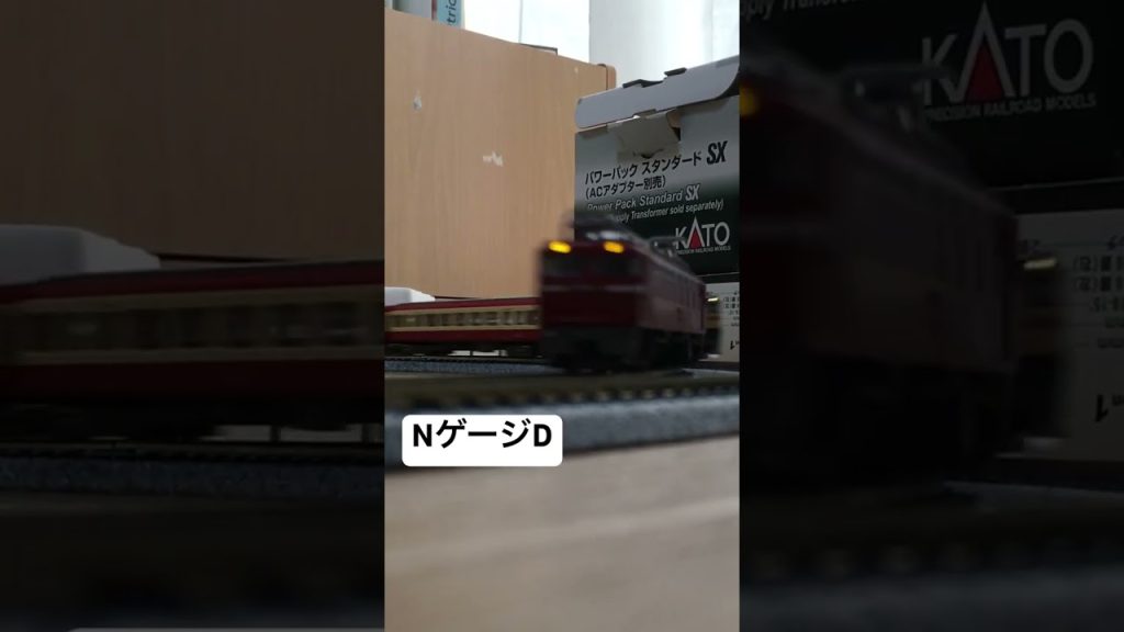 ［NゲージでD］EF65とEF81 #鉄道 #回送列車 #電車 #かもつれっしゃ #train #ふー鉄道 #railway #ef81 #レア車 #ef65