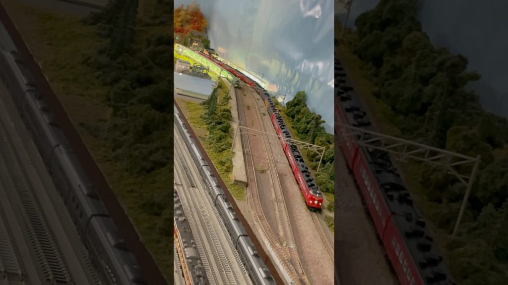 (Nゲージ鉄道模型)TOMIX 485系かもめ、ハウステンボス、みどり、KATO 787系 走行シーン@リカラー東京