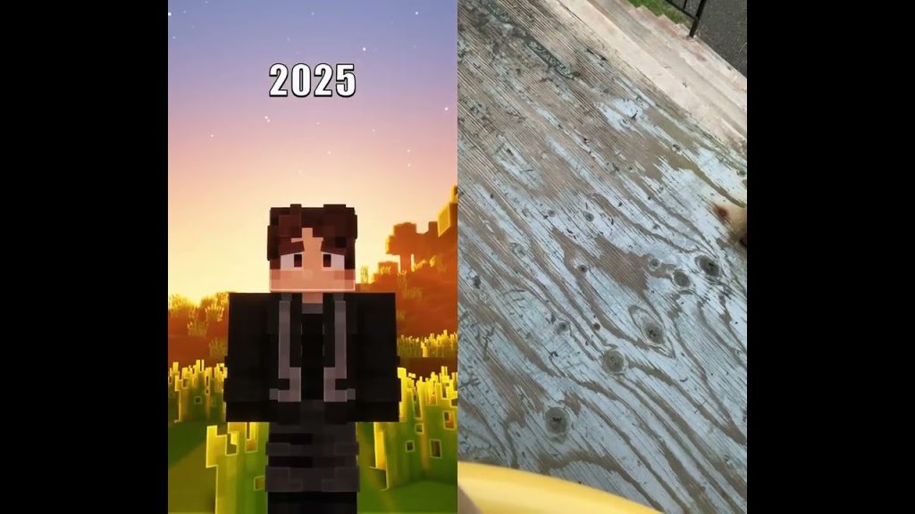 Spécial tomix #minecraft