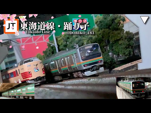 保U-111〈模型〉1111 E231s系東海道線・湘南新宿ライン 183系踊り子12両🍀