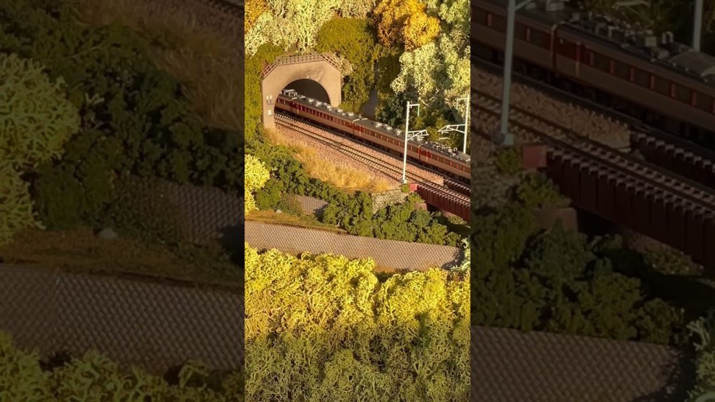 489系 特急はくたか　#nゲージ #鉄道模型 #特急はくたか