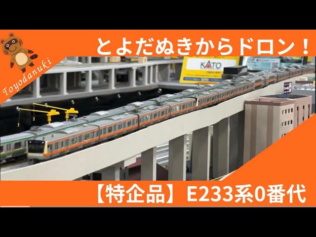 【特別企画品】E233系0番代グリーン車組込2両セット