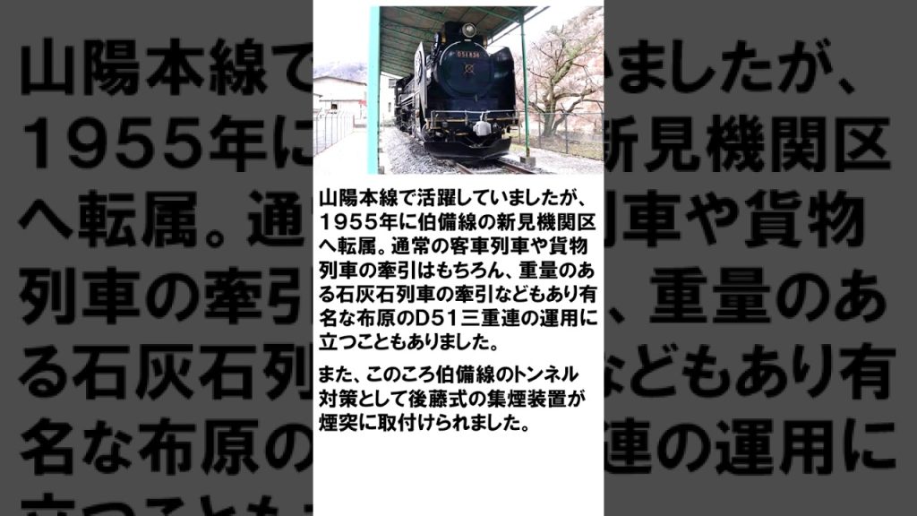 KATO京都駅店特製品【D51 838 新見機関区】のご紹介 #鉄道模型 #鉄道 #nゲージ #kato #d5 #railroadmodel