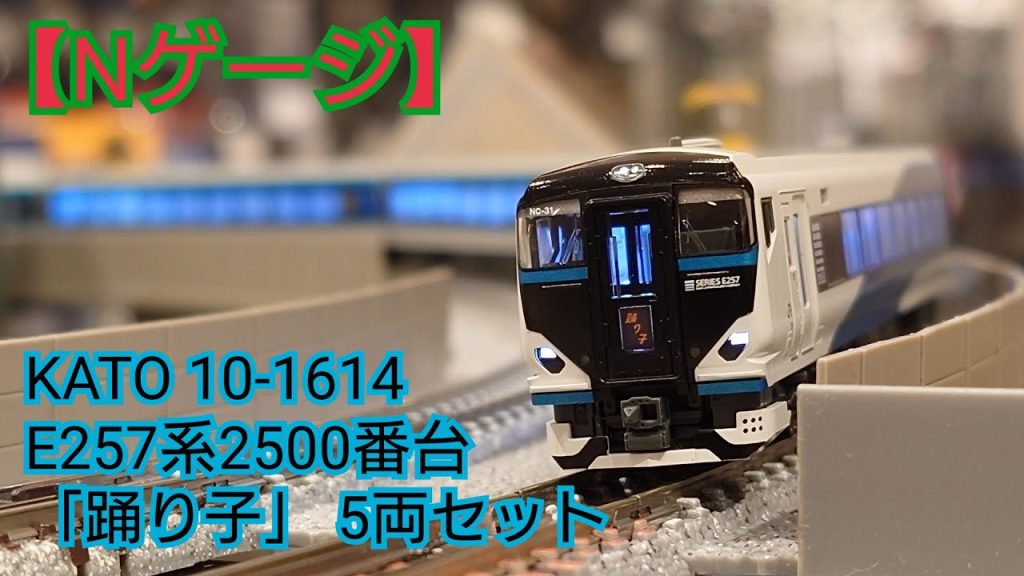 【Nゲージ】KATO 10-1614 E257系2500番台「踊り子」5両セット 開封してみた