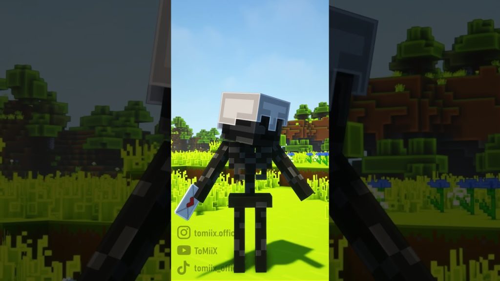 Un wither squelette est amoureux sur Minecraft !