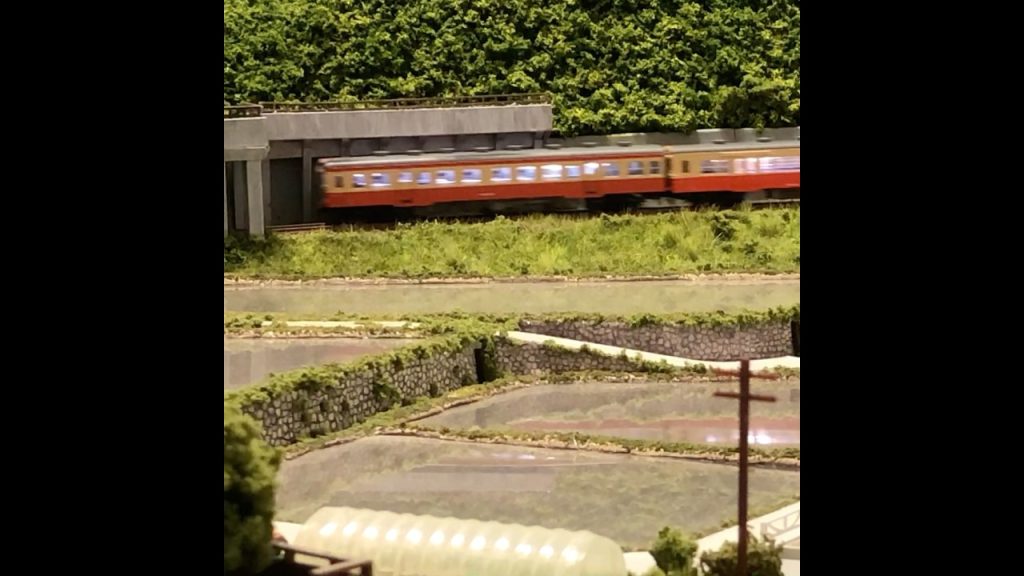 水田に姿を映す　　#nゲージレイアウト #nゲージ鉄道模型 #気動車