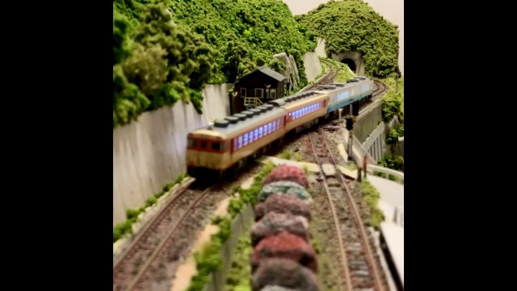 快速列車、スイッチバックを通過。#nゲージレイアウト #nゲージ鉄道模型 #気動車 #スイッチバック駅