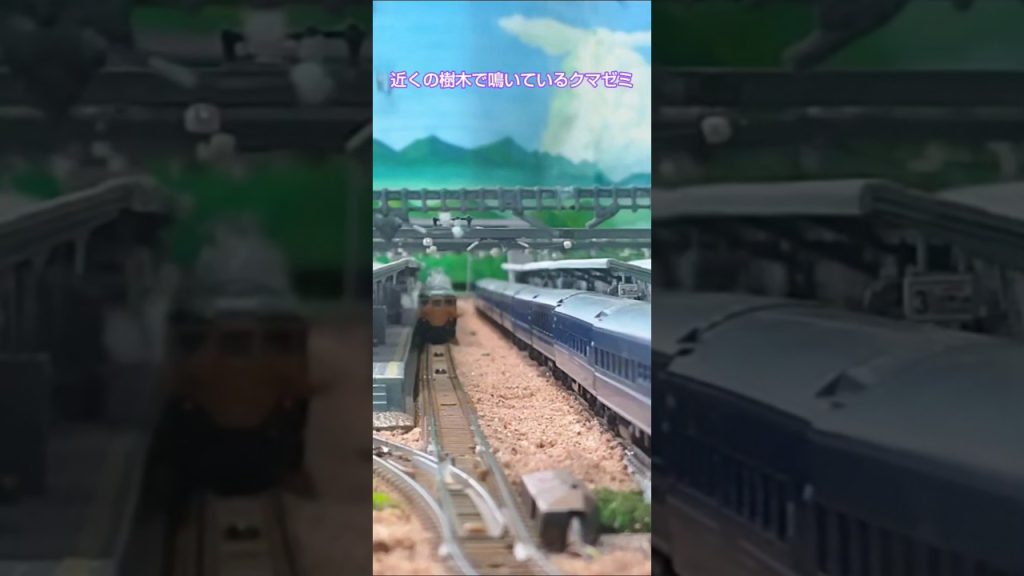東海道線・夏の思い出・ブルートレイン #nゲージ #鉄道 #train