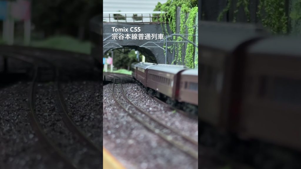 tomix c55 #nゲージ #鉄道模型 #train #蒸気機関車 #レイアウト