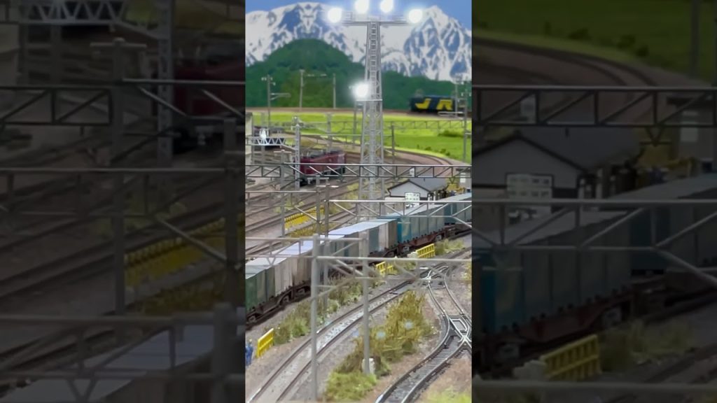 EF65-116 JR貨物試験塗装　#nゲージ #鉄道模型 #modeltrains