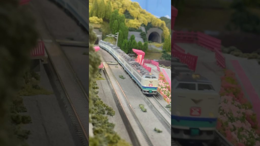 特急はくたか #nゲージ #鉄道模型 #modelrailroad