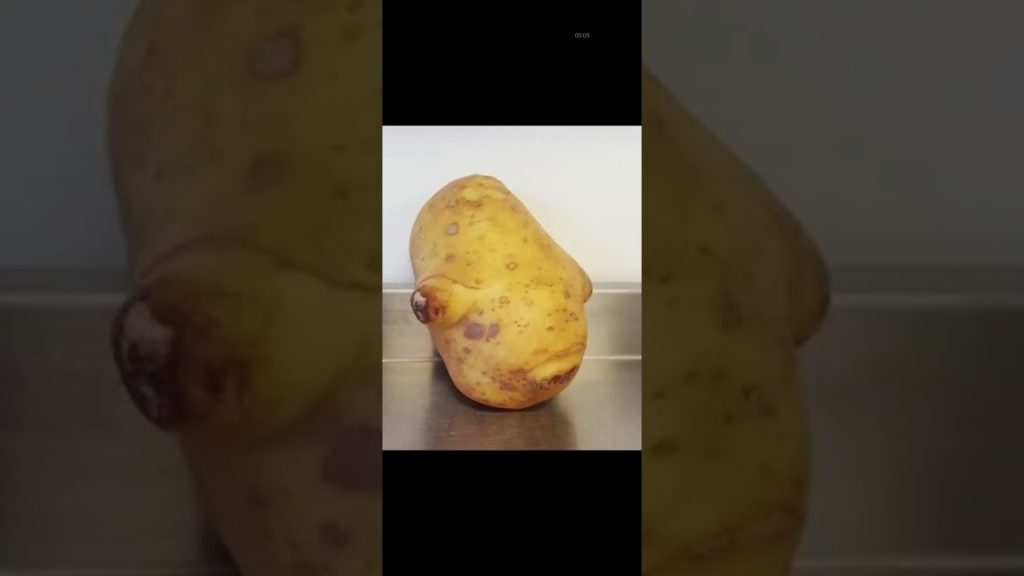 only star wars fans will see it part 4 #starwars